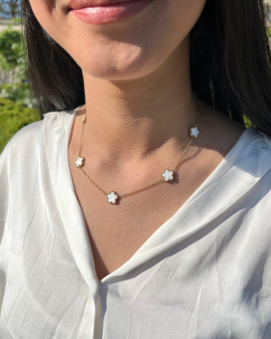 Collier Assia